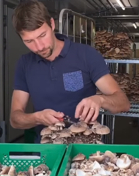 Andi Shiitake