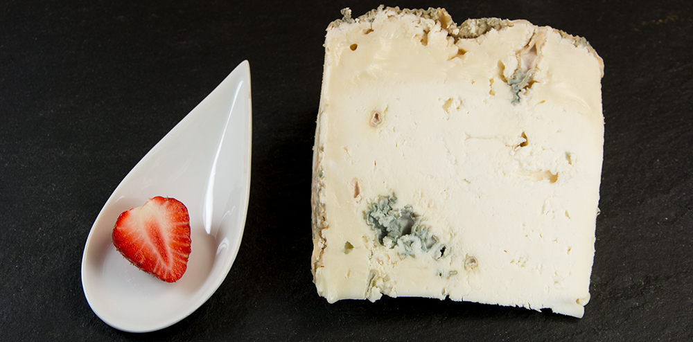 Blauschimmelkäse aus Ziegen Rohmilch
