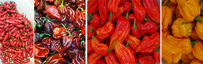 Grillsaucen mit Chili