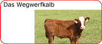 Das Wegwerfkalb