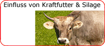 Einfluss von Kraftfutter und Silage auf die Rohmilch