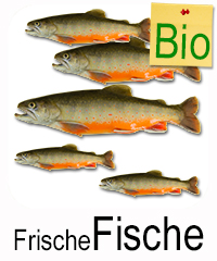 Frische Fische