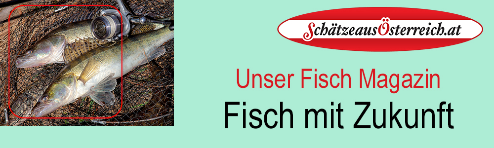 Fisch mit Zukunft