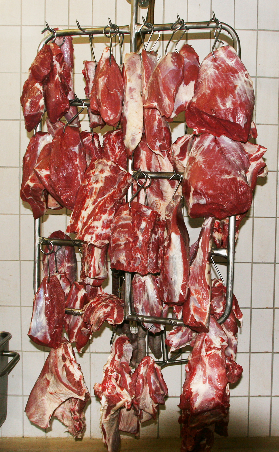 Kalbinnen Fleisch Reifung
