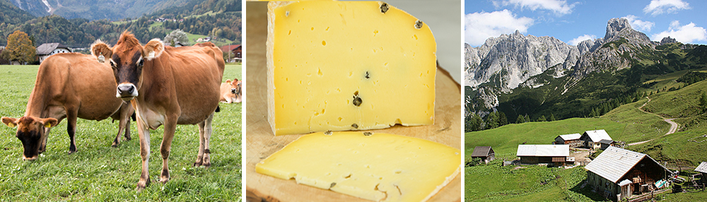 Jersey Käse vom Fürstenhof