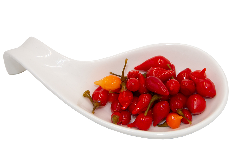 Gänseschnabel Chili