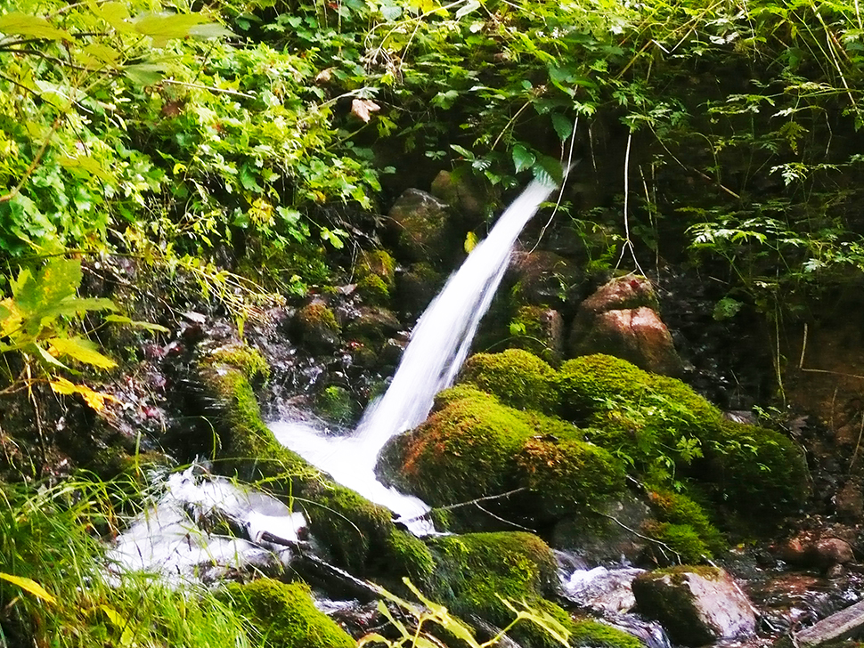 Gesundes Wasser direkt aus der Quelle