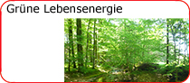 Grne Lebensenergie bei Schtze aus sterreich