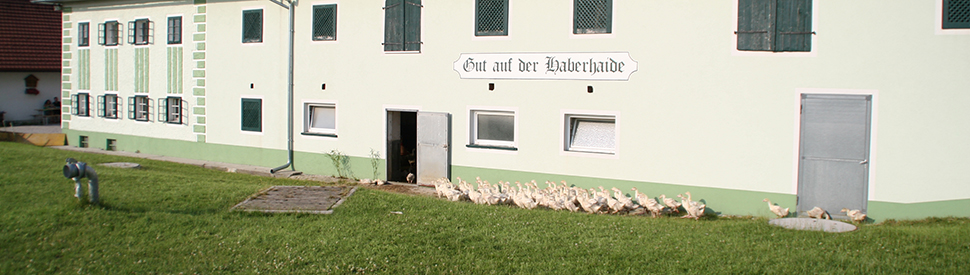 Gnse gut