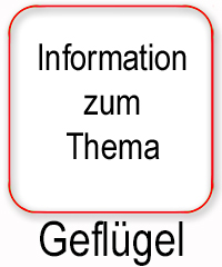 Informationen Thema Geflgel