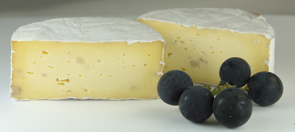 Jersey Camembert