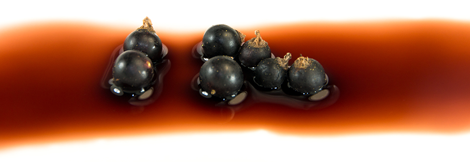 Johannisbeer Balsamico