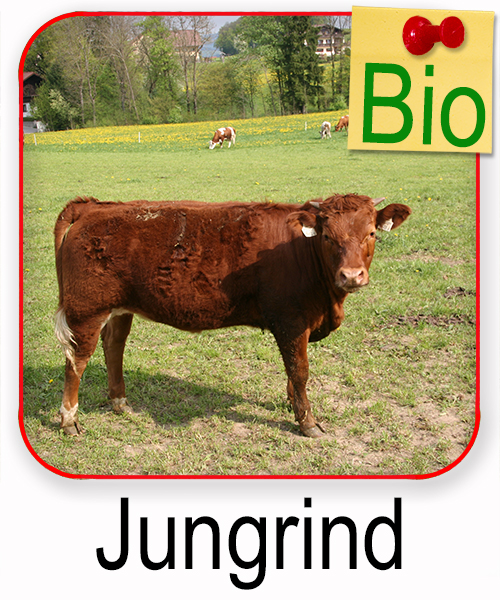 Jungrind