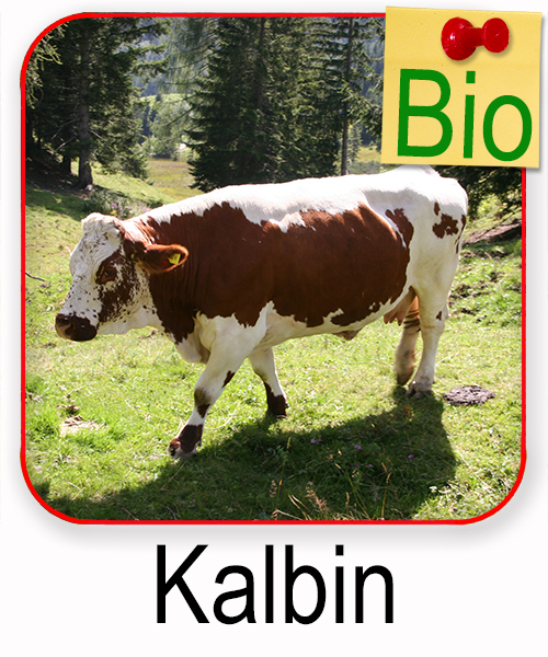 Kalbin