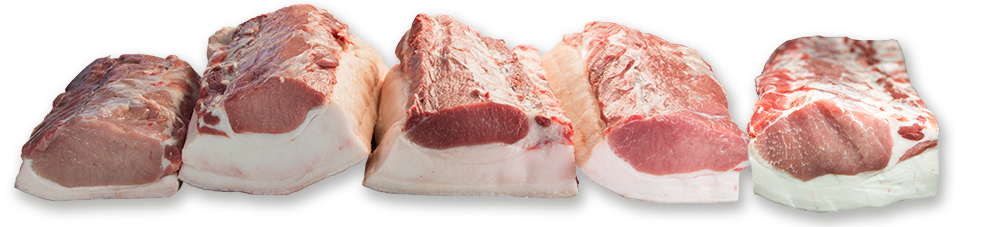 Schweinerassen Vergleich Karree