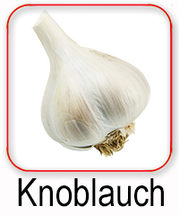 Knoblauch