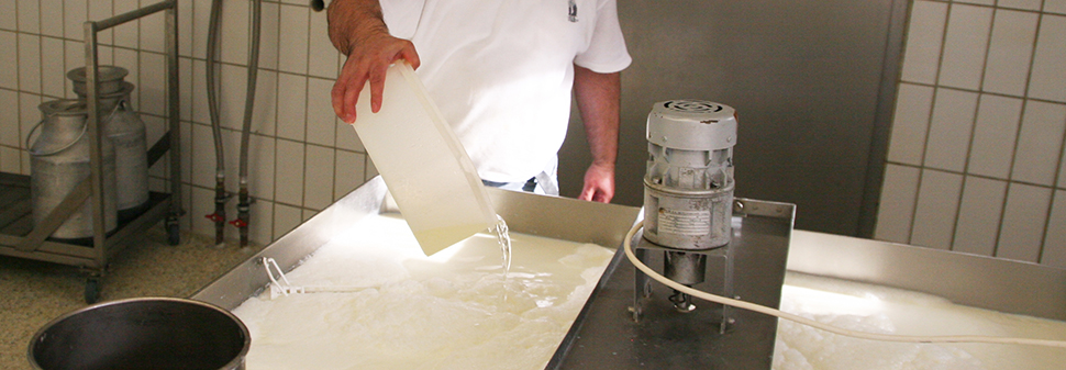 Rohmilchkse Lab wird der Milch beigefgt