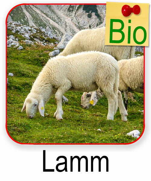 Lammfleisch
