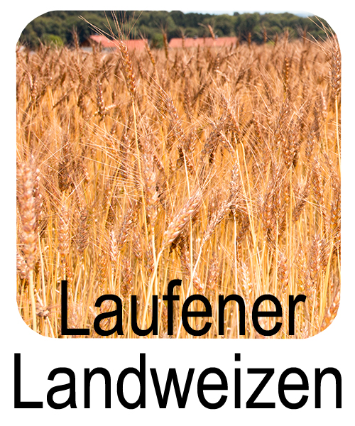 Laufener Landweizen