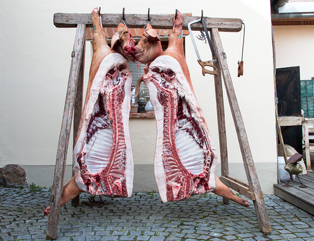 Mangalitza Schlachtfest
