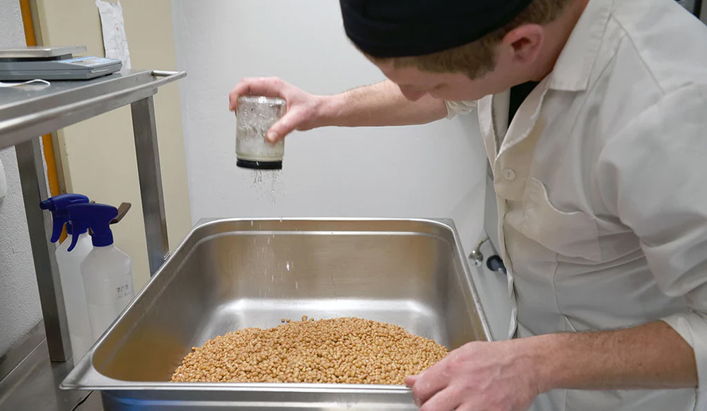 natto produktion
