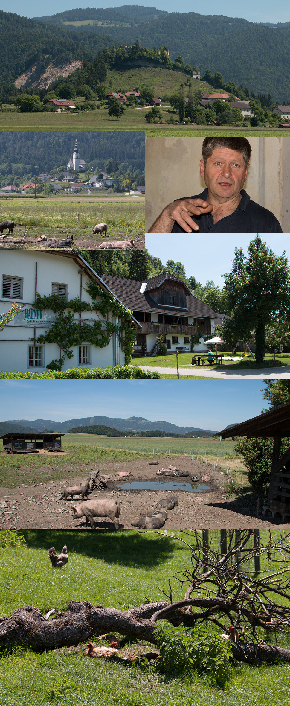 Nuart Schafkse Impressionen vom Hof