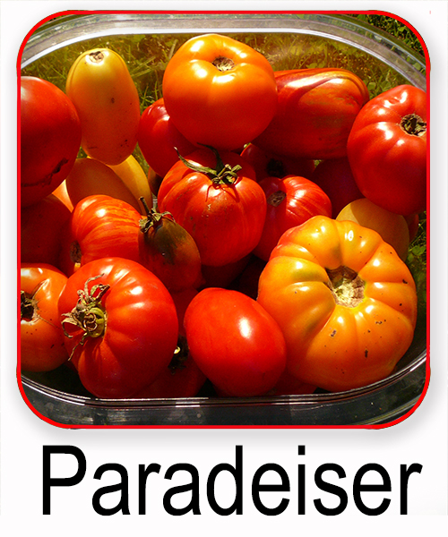 Paradeiser Vielfalt