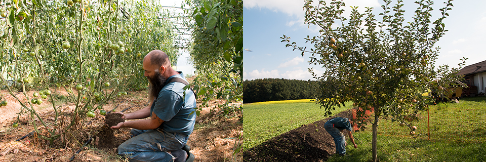 Paradeiser und Apfel Vielfalt