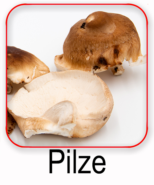 Pilze