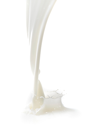 Rohmilch