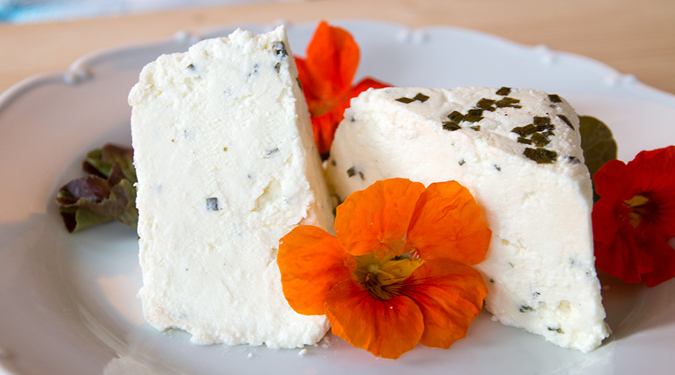 Rohmilch Schaf Frischkse Bio