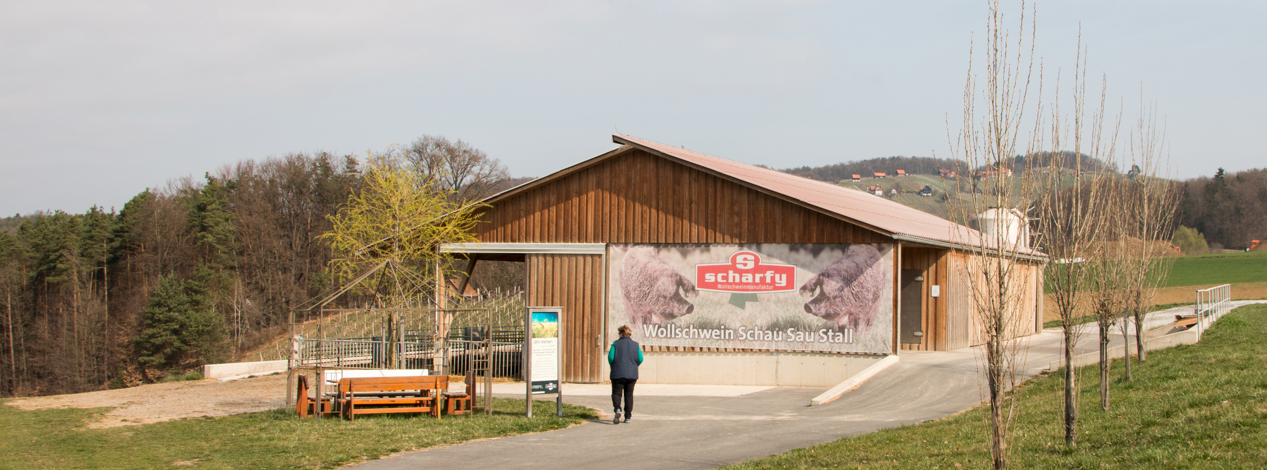 Wollschwein Stall