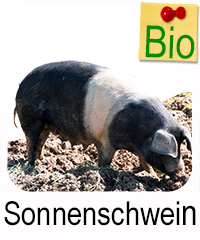 Sonnenschwein