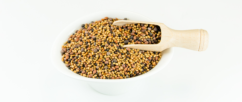 Sprossenmix Keimlinge