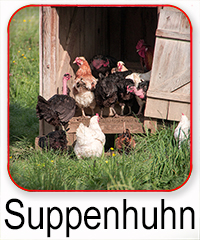 Suppenhuhn