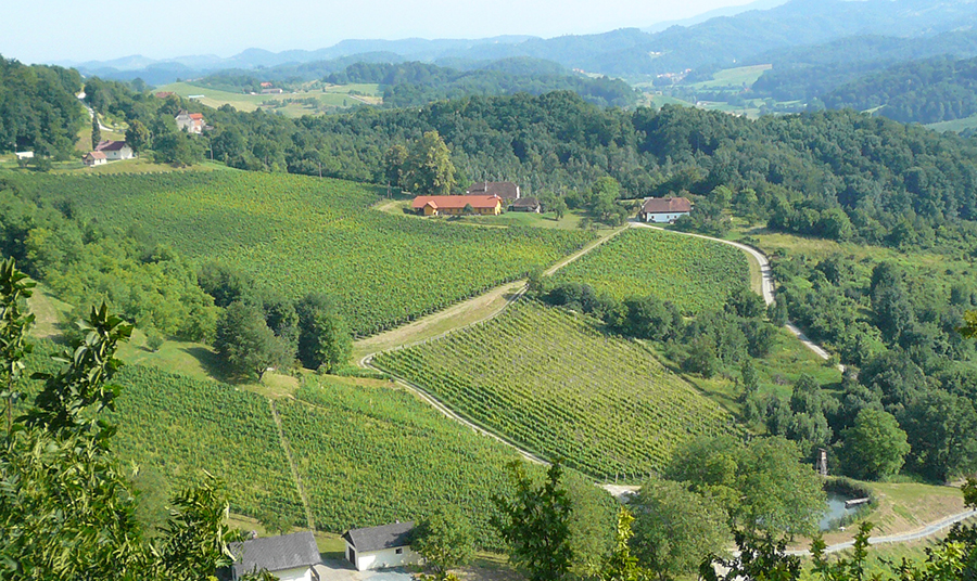 Weinstock Essigmacher