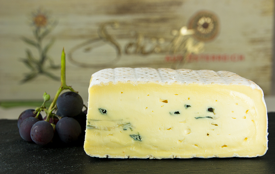 Jersey Blauschimmelkse