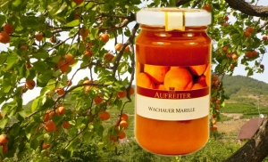 Fruchtaufstriche Wachauer Marille