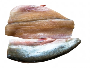 Saiblingsfilet Bio bei Schtze aus sterreich