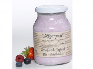 Schafmilchjoghurt Waldfrchte BIO 