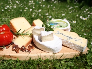 Rohmilch Ksebox Muh BIO 