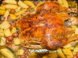 Bio Huhn kaufen