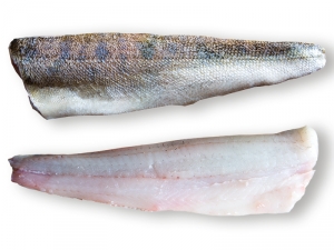 Zanderfilet