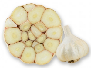 Silverskin Knoblauch