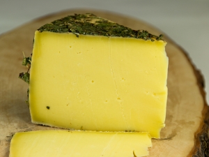Jersey Rohmilchkse im Almkruter Mantel