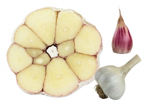 Knoblauch Bella Italia