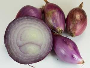 Zwiebelsorte Tropea rossa lunga