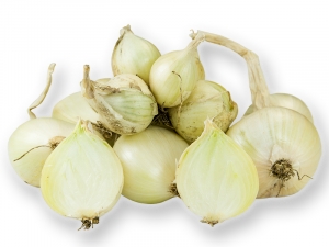 Bio Schalotten Hermine