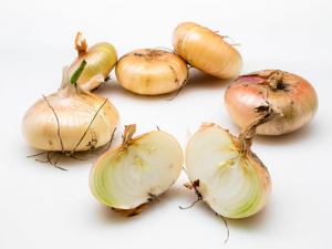 Bio Zwiebel Sorte Borretane