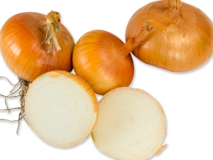 Stuttgarter Riese Bio Zwiebel